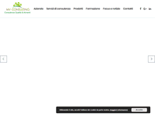 Tablet Screenshot of consulenza-qualita.com